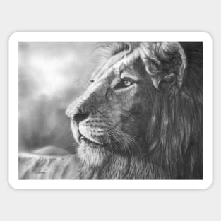 Courageous lion portrait Sticker